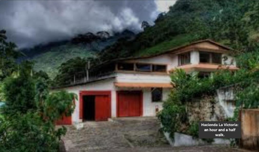 Hotel Minca Express Relax - Base Camp Exterior foto